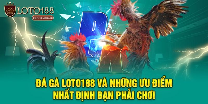 Đá Gà Loto188 - Thiên Đường Đổi Thưởng Kịch Tính Nhất 2026 2 Tại sao nên lựa chọn trải nghiệm Đá gà Loto188?