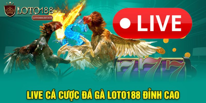 Đá Gà Loto188 - Thiên Đường Đổi Thưởng Kịch Tính Nhất 2026 4 Top 3 hình thức cá cược được yêu thích tại Đá gà Loto188